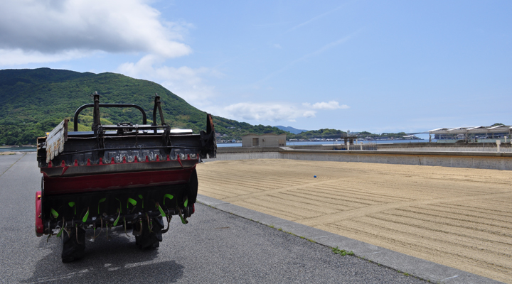 車海老飼育北池(水を抜いた状態)
